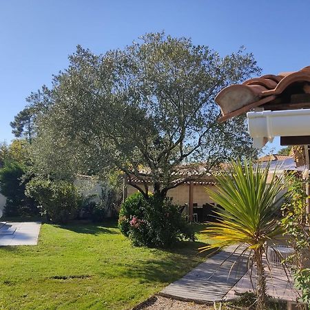 Maison Familiale En Bois Avec Piscine, Proche Du Bassin Gujan-Mestras Εξωτερικό φωτογραφία