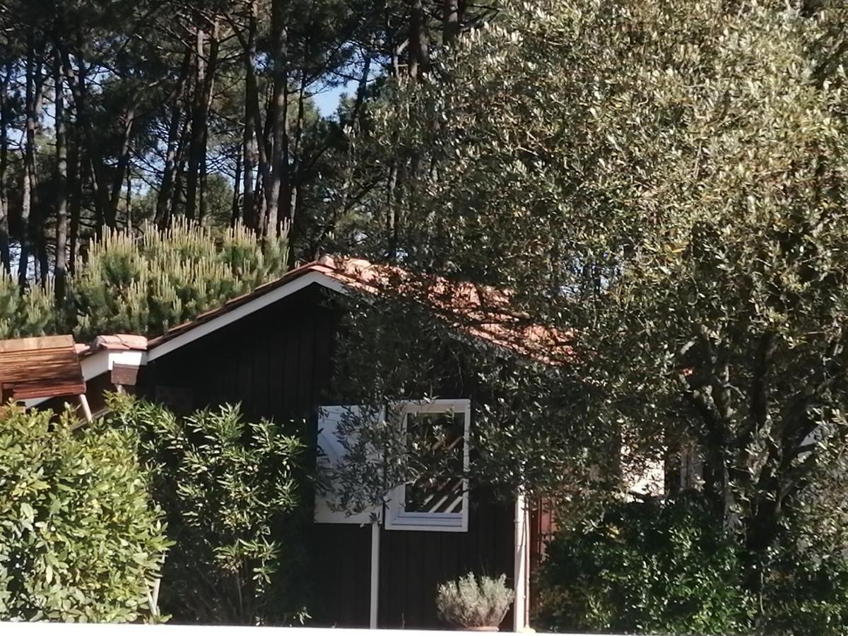 Maison Familiale En Bois Avec Piscine, Proche Du Bassin Gujan-Mestras Εξωτερικό φωτογραφία