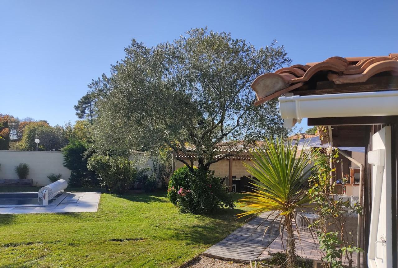 Maison Familiale En Bois Avec Piscine, Proche Du Bassin Gujan-Mestras Εξωτερικό φωτογραφία